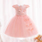 Girls Peach Butterfly Lace Tulle Party Dress for Special Occasions